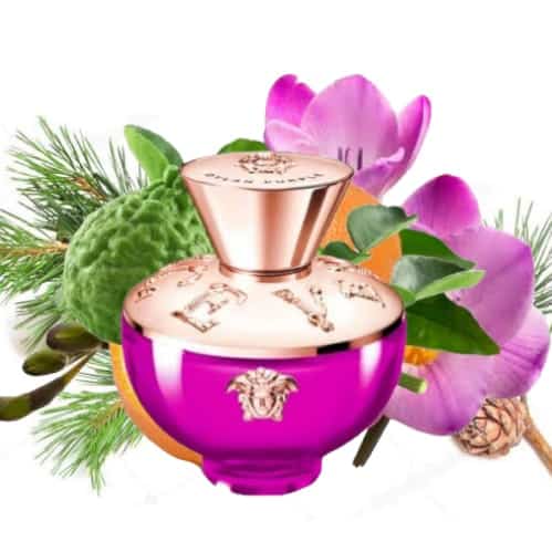 VERSACE - DYLAN PURPLE EDP NAT SPRAY - 100ML